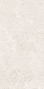  (ITT) ������������ SALMA BONE MATT 59.5x119.2