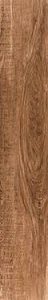  (TAU) ������������ RAGUSA UMBER 20X120