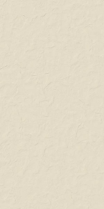  ������������ LOGAN BONE Rectified MATT 60x120