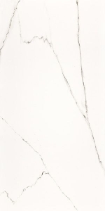  ������������ STATUARIO Rectified PARLAK NANO 60x120