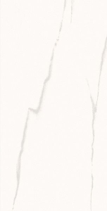  ������������ STATUARIO Rectified MATT 60x120