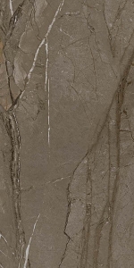  ������������ SIERRA VIZION Rectified MATT 60x120