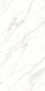  ������������ Maimoon Roman Satvario 60x120