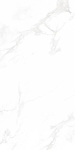  ������������ Concept Venus Bianco Polished 60x120 (N12003)