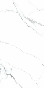  ������������ Classic Marble Mckinley Carving 60x120 (N20419)