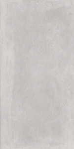  ������������ Concept Concrete Grey Matt 60x120 (N12543) NSK