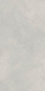  ������������ Loft Newport Gris Matt 60x120 (N20478) NSK