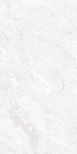  ������������ Concept Carrara Pearl Polished 60x120 (N20481)