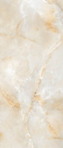  ������������ Titanium Onix Delicato Polished 120x278 (N20387)