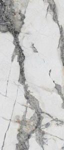  ������������ Titanium Renoir Polished 120x278 (N20416)