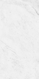  ������������ Classic Marble Carrara Antique Satin 60x120 (N20559)