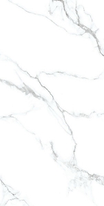  ������������ Classic Marble Calacatta Classic Dg Carving 60x120 (N40030)