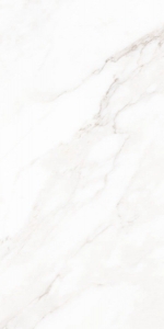  ������������ Classic Marble Calacatta Classic Polished 60x120 (N40059)