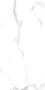  ������������ Concept Statuario Chic Matt 60x120 (N20532)