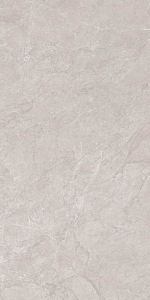  ������������ Marble Aristo Grey Tm 60x120 (N20555)