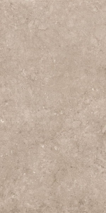  ������������ Stone Pariso Tobacco Matt 60x120 (N12050)