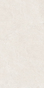  ������������ Stone Stonhenge Beige Matt Shape 60x120 (N40032)