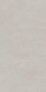  ������������ Stone Egypt Gris Matt Shape 60x120 (N40033)