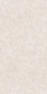  ������������ Stone Basalt Stone Ivory Matt Str 60x120 (N40040)