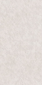  ������������ Stone Basalt Stone White Matt Str 60x120 (N40041)