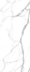  ������������ Titanium Statuario Amaze Polished 120x280 (N80002)