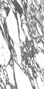  ������������ Sale Marvel Grey Polished 60x120 (CV20217)