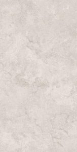  ������������ Stone Duomo Grey Matt Str 60x120 (N40070)