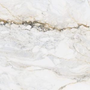  ������������ Pamesa Cr.Pisa Gold (Compacglass) Rect. 60x60