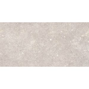  ������������ Pamesa Dover Greige (�������) Rect. 60x120 (T)C
