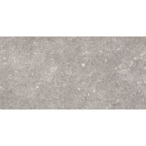  ������������ Pamesa Dover Gris (�������) Rect. 60x120 (T)C