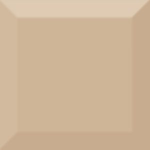  ������������ ������ Absolut Keramika Biselado Brillo Beige 10x10