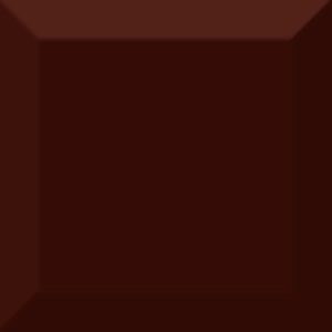  ������������ ������ Absolut Keramika Biselado Brillo Marron 10x10