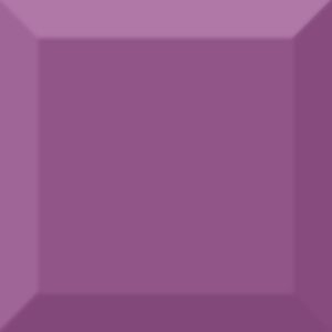  ������������ ������ Absolut Keramika Biselado Brillo Morado 10x10