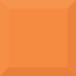  ������������ ������ Absolut Keramika Biselado Brillo Naranja 10x10
