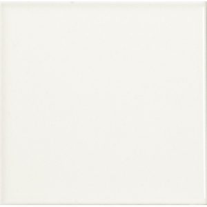  ������������ ������ Absolut Keramika Liso Brillo Blanco 20x20