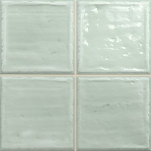  ������������ ������ Absolut Keramika Noa Fern 20x20