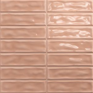  ������������ ������ Absolut Keramika Sticks Coral 20x20