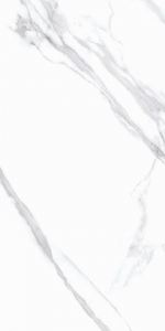  ������ Silk Statuario Calipso Matt 60x120