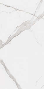  ������ StaroSlim Calacatta Oro 60x120 5�� Matt
