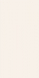  ������ StaroSlim Elite Ivory 60x120 5�� Matt