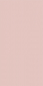  ������ StaroSlim Elite Peach 60x120 5�� Matt