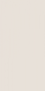  ������ StaroSlim Elite Steel 60x120 5�� Matt