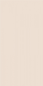  ������ StaroSlim Elite Warm 60x120 5�� Matt