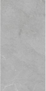  ������ StaroSlim Barcelona Light Grey 60x120 5�� Matt