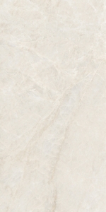  ������������ Staro Rizzi Taj Sand 60x120 Polished