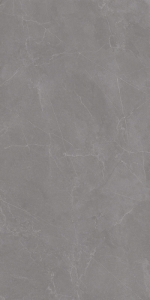  ������������ Staro Rizzi Valencia Grey 60x120 Matt