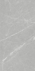  ������ Dakota Gris 60x120 Antislip