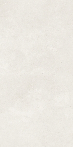  ������ Concreto Blanco 60x120 Matt