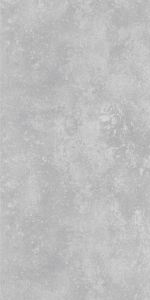  ������ Concreto Gris 60x120 Matt