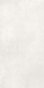  ������ Concreto Polar 60x120 Matt